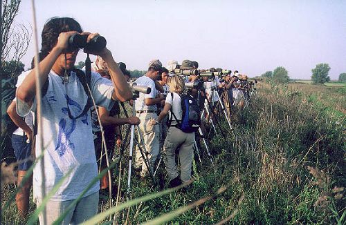 EBN Italia promuove il birdwatching legandolo al territorio